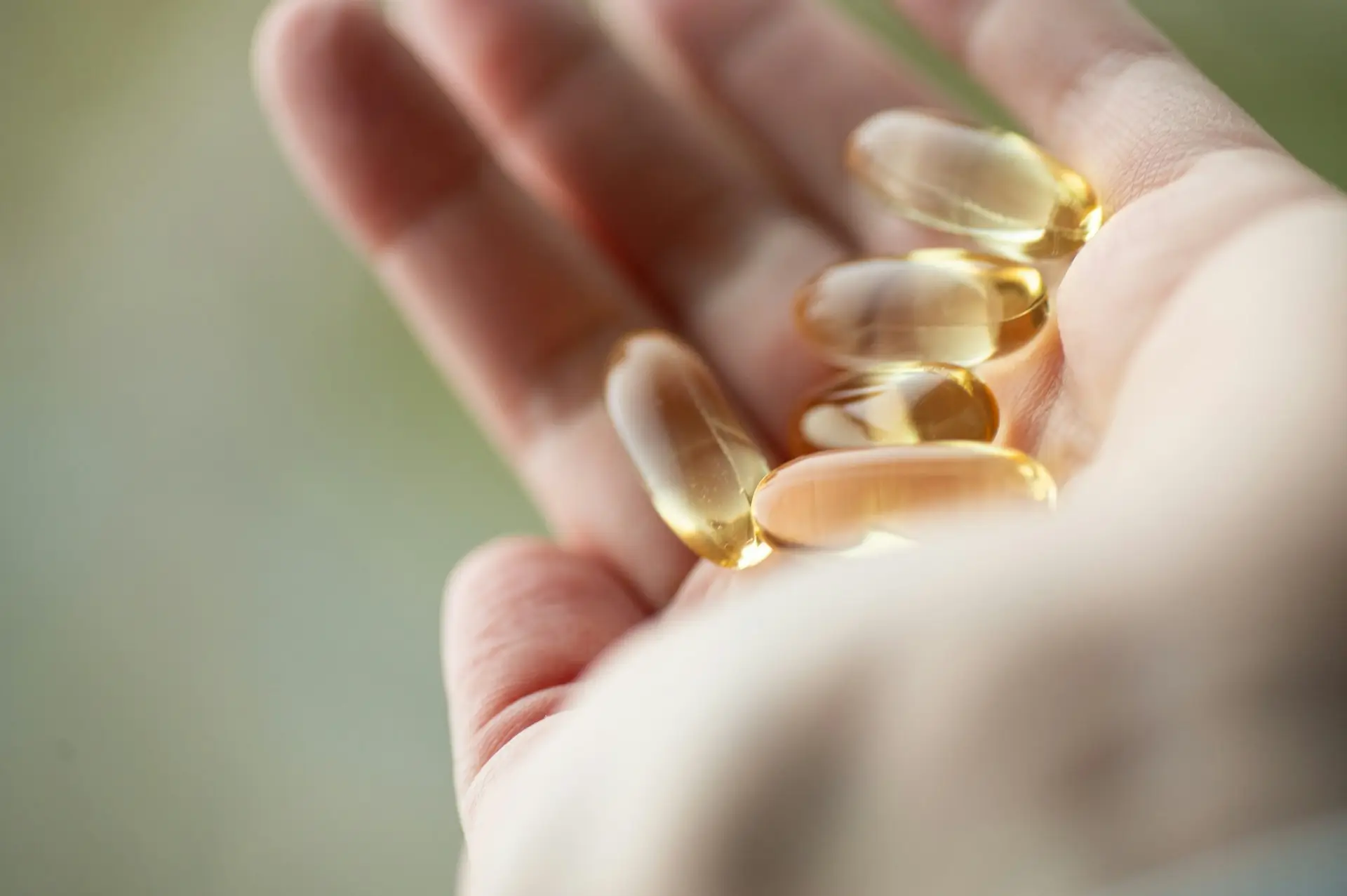 Supplement