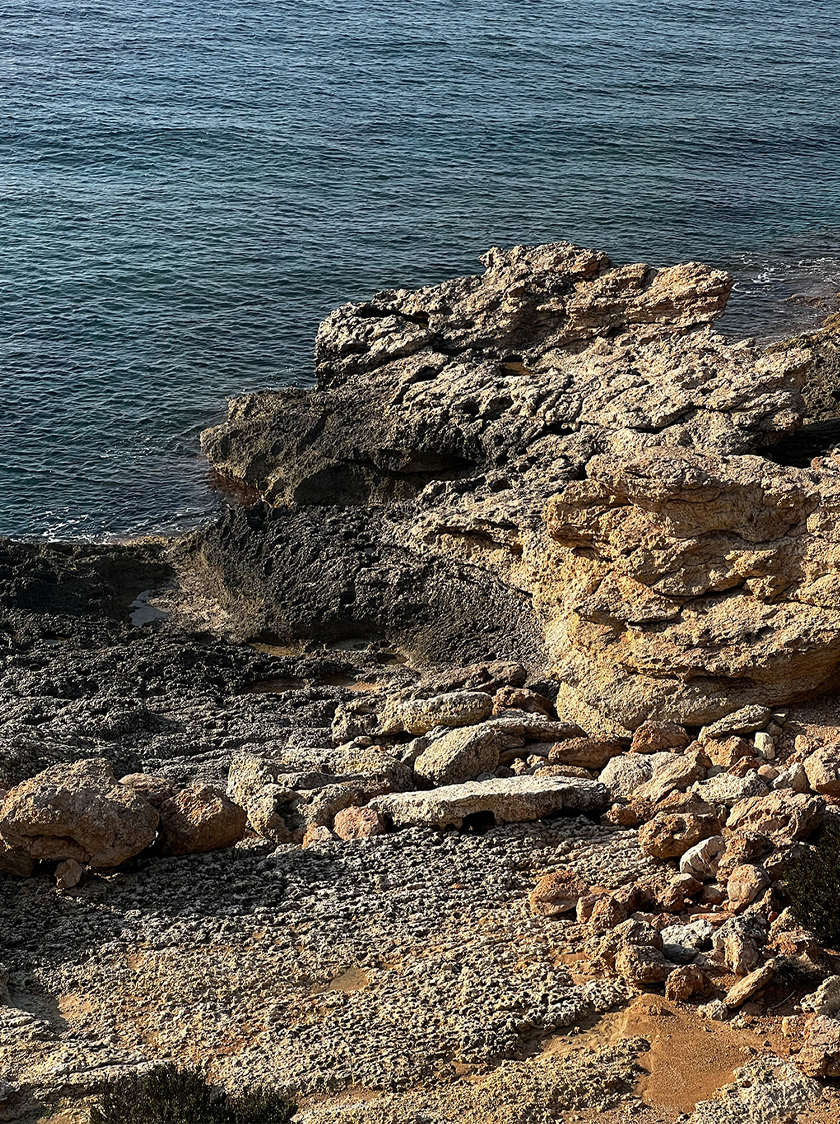 AnimaEdit_BornInTheWildBeautyOfNorthernIbiza_Main